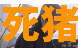 八公山企业清欠服务